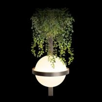 Бра Loft it Jardin 10121W/B Dark grey 3_LF_10121W_B_Dark_grey.webp small