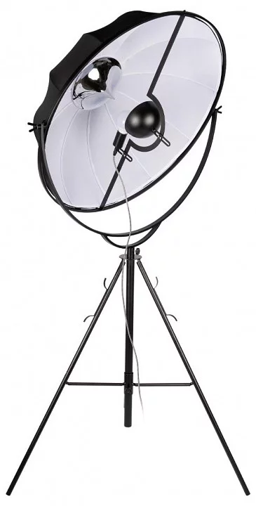 Торшер Loft it Studio 10301/L 1_LF_10301_L.webp big