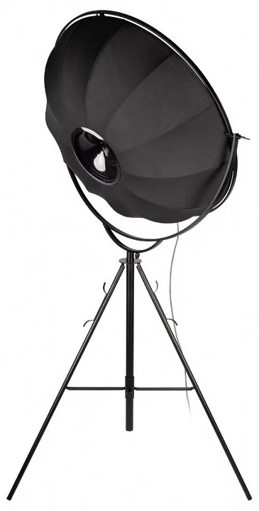 Торшер Loft it Studio 10301/L 2_LF_10301_L.webp big