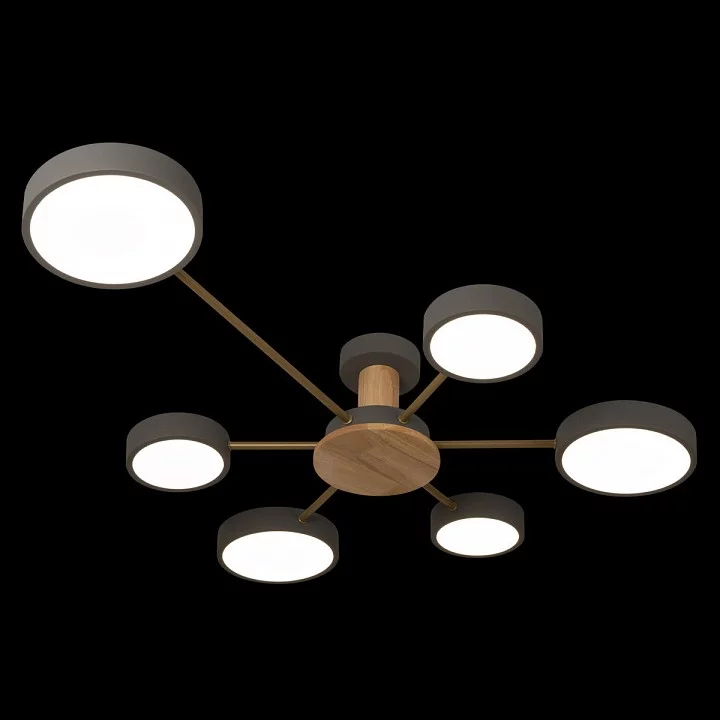 Потолочная люстра Loft it Sunrise 10316/6 Grey 3_LF_10316_6_Grey.webp big