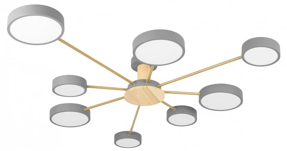 Потолочная люстра Loft it Sunrise 10316/8 Grey 0_LF_10316_8_Grey.webp big