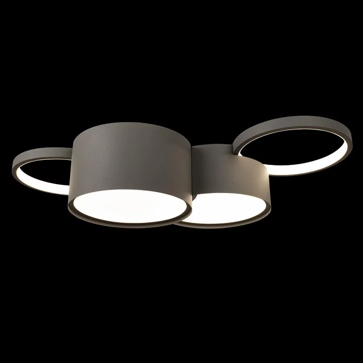 Потолочная люстра Loft it Pin 10317/4 Grey 3_LF_10317_4_Grey.webp big