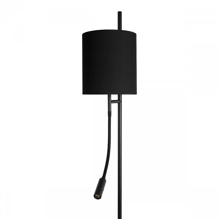 Торшер с подсветкой Loft it Ritz 10253F/B Black 2_LF_10253F_B_Black.webp big