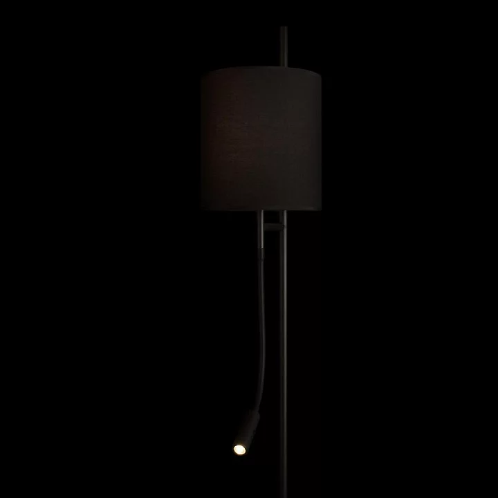 Торшер с подсветкой Loft it Ritz 10253F/B Black 3_LF_10253F_B_Black.webp big