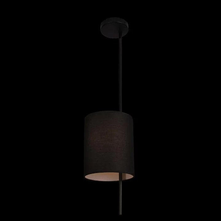 Светильник на штанге Loft it Ritz 10253P Black 2_LF_10253P_Black.webp big