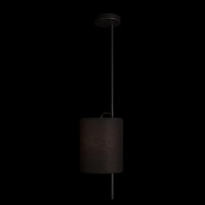 Светильник на штанге Loft it Ritz 10253P Black 3_LF_10253P_Black.webp big