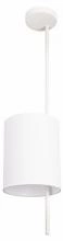 Светильник на штанге Loft it Ritz 10253P White 1_LF_10253P_White.webp small