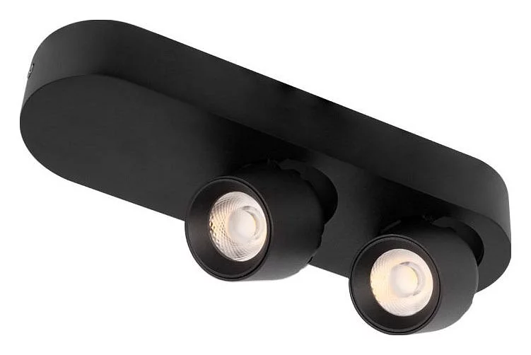 Накладной светильник Loft it Quiet 10320/2 Black 0_LF_10320_2_Black.webp big