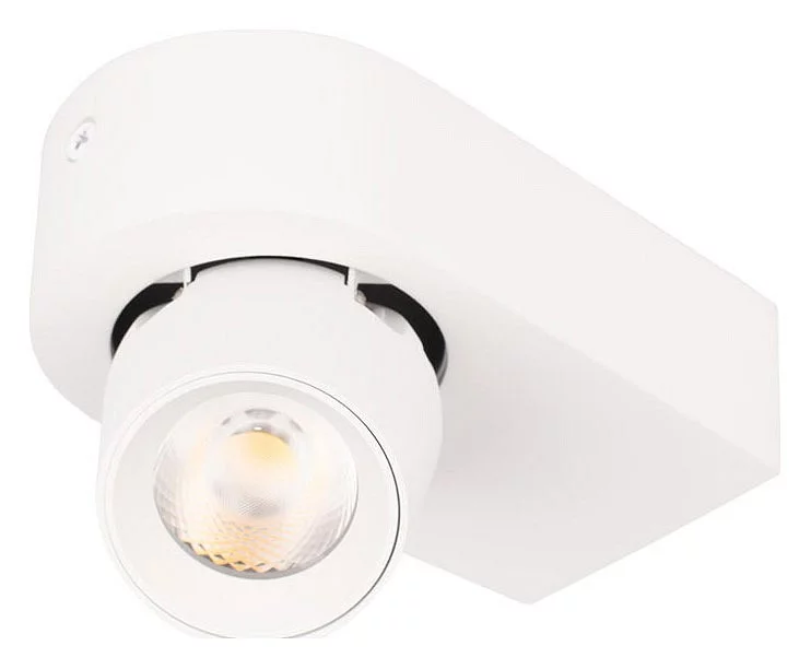 Накладной светильник Loft it Quiet 10320 White 0_LF_10320_White.webp big
