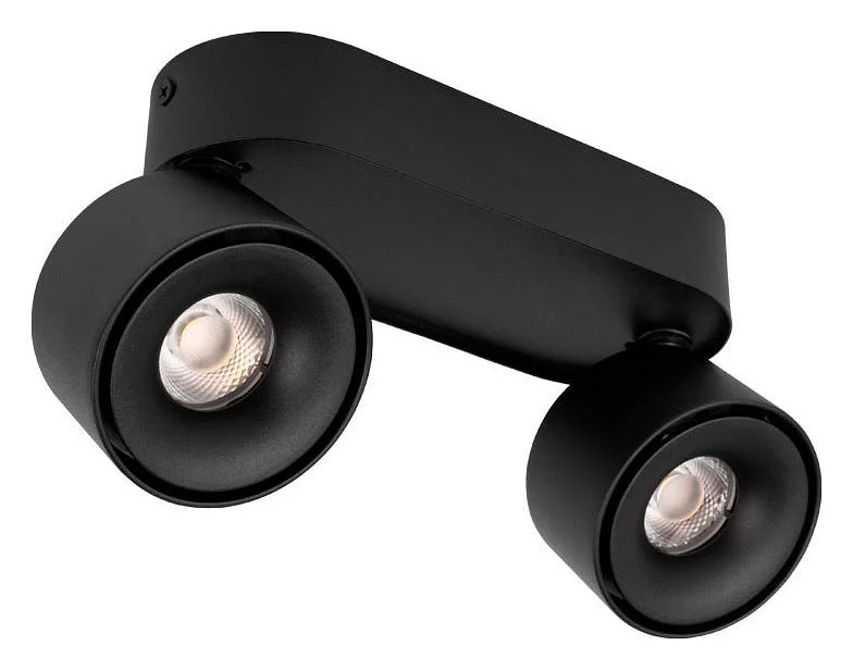 Спот Loft it Focus 10323/2A Black 0_LF_10323_2A_Black.webp big