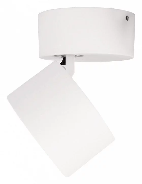 Спот Loft it Focus 10323/A White 2_LF_10323_A_White.webp big