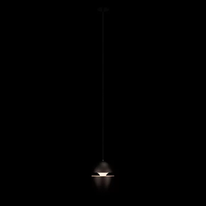 Подвесной светильник Loft it Viterbo 10336 Black 2_LF_10336_Black.webp big