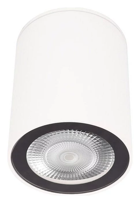 Накладной светильник Loft it Rush 10344 White 0_LF_10344_White.webp big