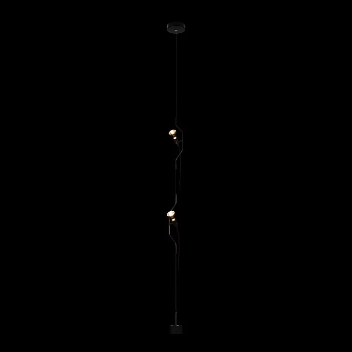 Светильник на растяжке Loft it Parentesi 10346/2 Black 1_LF_10346_2_Black.webp big