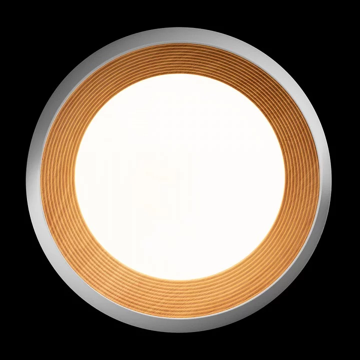 Накладной светильник Loft it Folk 10255/500 White 2_LF_10255_500_White.webp big