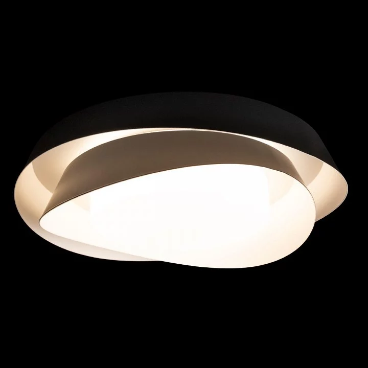 Накладной светильник Loft it Petale 10256 Black 3_LF_10256_Black.webp big