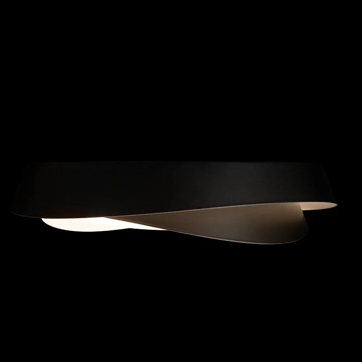 Накладной светильник Loft it Petale 10256 Black 5_LF_10256_Black.webp big