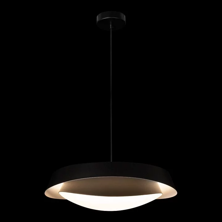 Подвесной светильник Loft it Petale 10256P Black 11_LF_10256P_Black.webp big