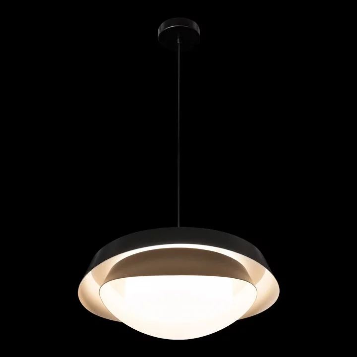 Подвесной светильник Loft it Petale 10256P Black 9_LF_10256P_Black.webp big