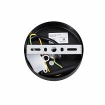 Подвесной светильник Lumion Ice 6562/1A 5_LMN_6562_1A.webp small