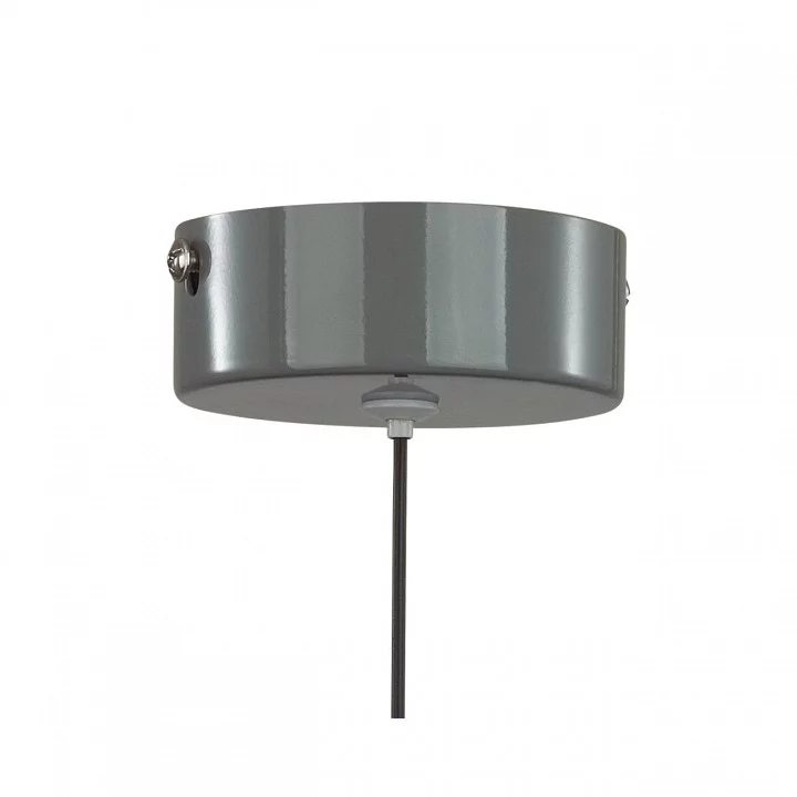 Подвесной светильник Lumion Globe 6569/6L 8_LMN_6569_6L.webp big