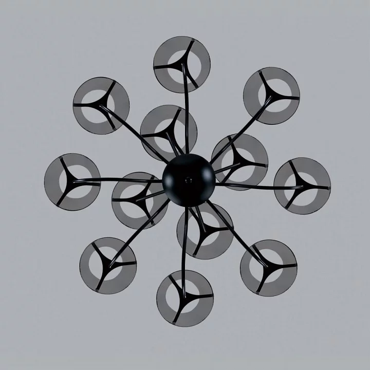 Люстра на штанге Lumion Smoky 6570/12C 4_LMN_6570_12C.webp big