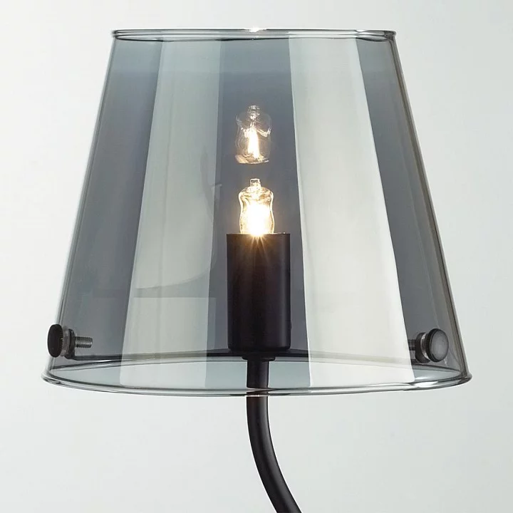 Настольная лампа декоративная Lumion Smoky 6570/1T 5_LMN_6570_1T.webp big