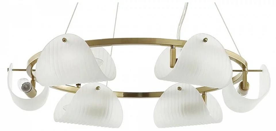 Подвесная люстра Lumion Fioro 6571/6 0_LMN_6571_6.webp big