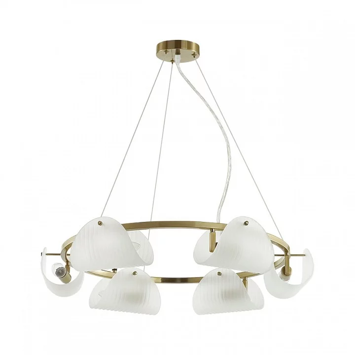 Подвесная люстра Lumion Fioro 6571/6 1_LMN_6571_6.webp big