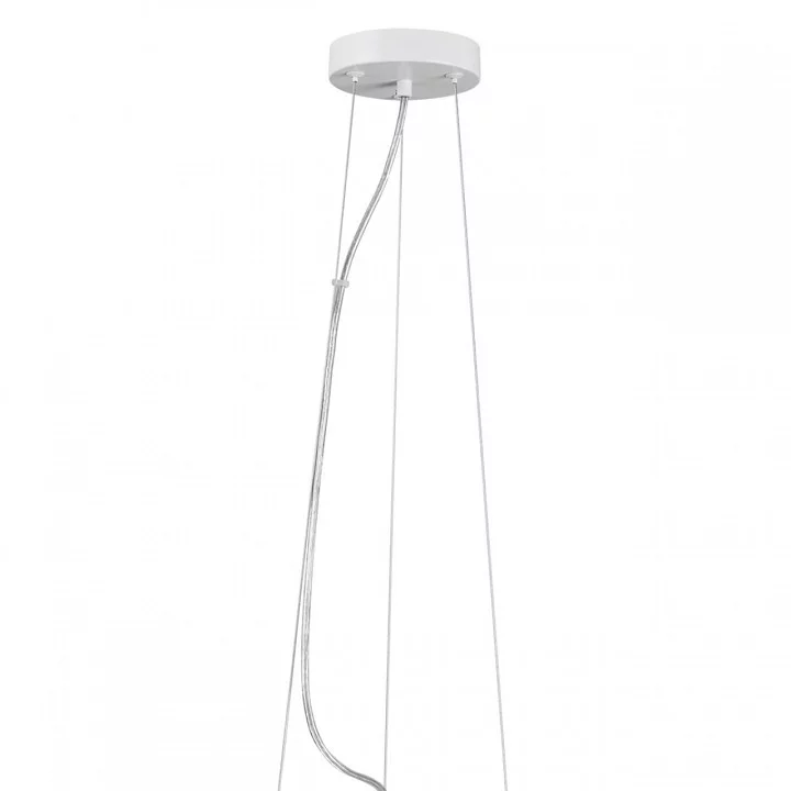 Подвесной светильник Lumion Animaisa 8002/1A 6_LMN_8002_1A.webp big