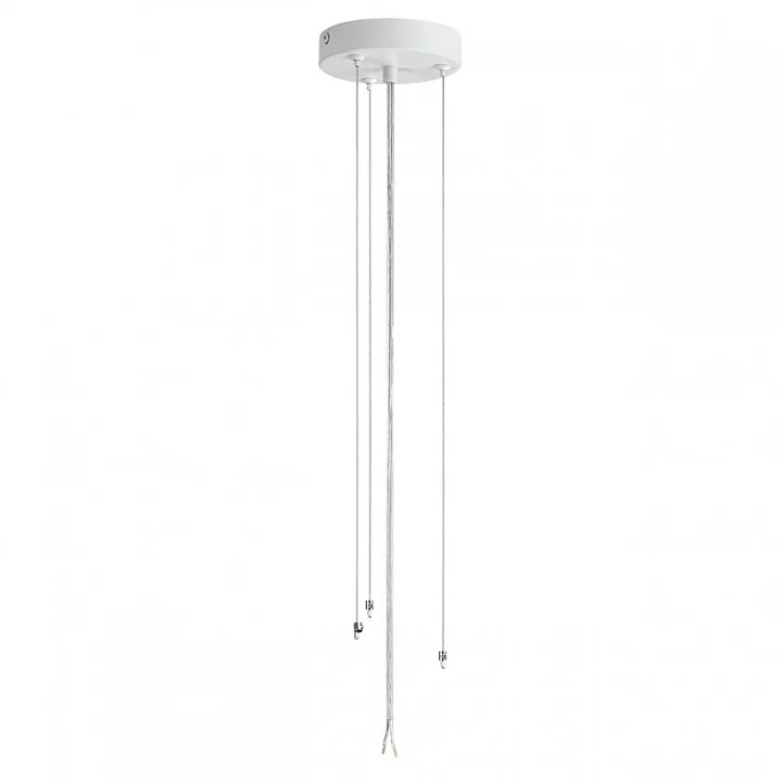 Накладной светильник Lumion Animaisa 8002/6C 3_LMN_8002_6C.webp big