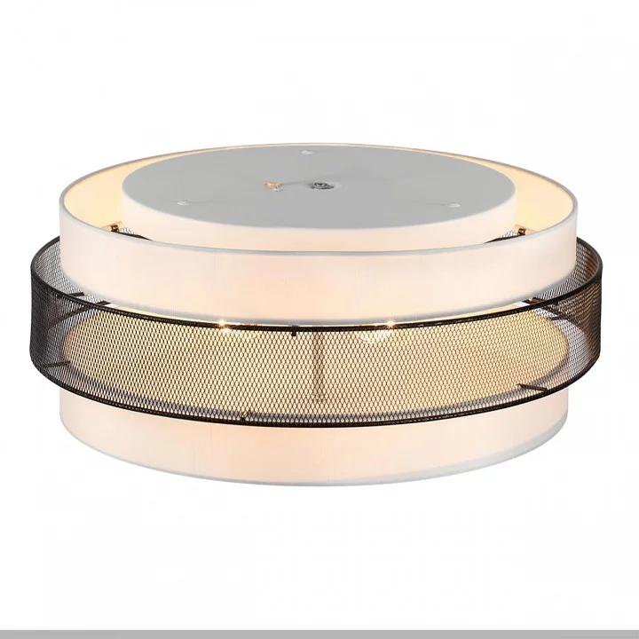 Накладной светильник Lumion Animaisa 8002/6C 5_LMN_8002_6C.webp big