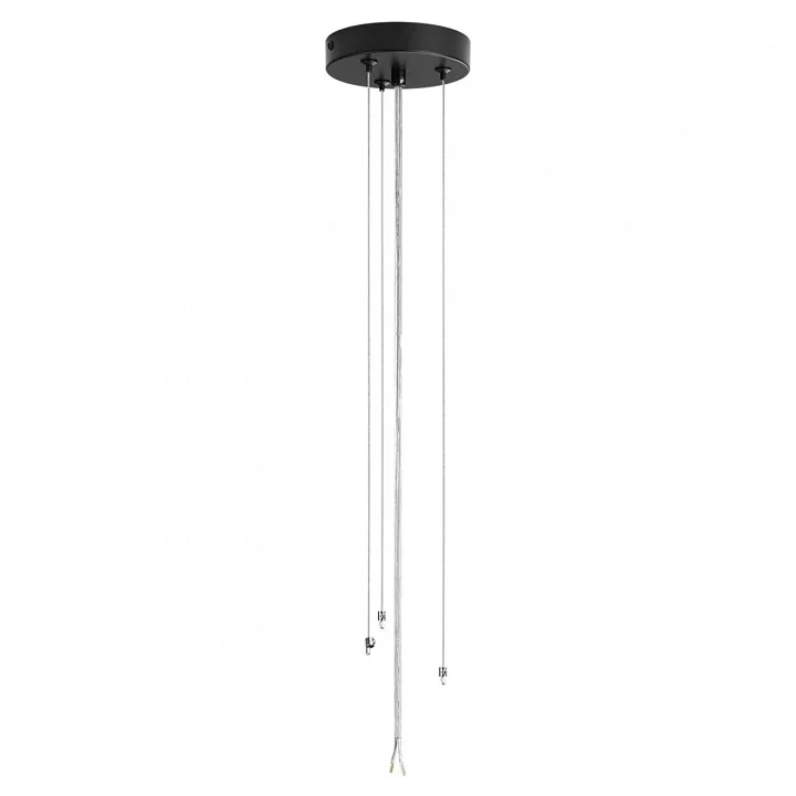 Накладной светильник Lumion Animaisa 8002/6C 9_LMN_8002_6C.webp big