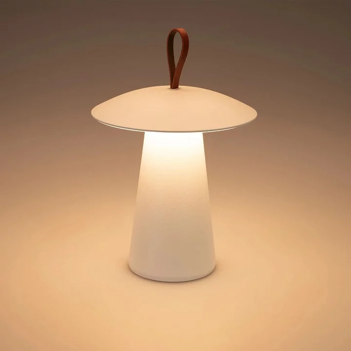 Настольная лампа декоративная Arlight SP-PATIO 030051 2_ARLT_030051.webp big