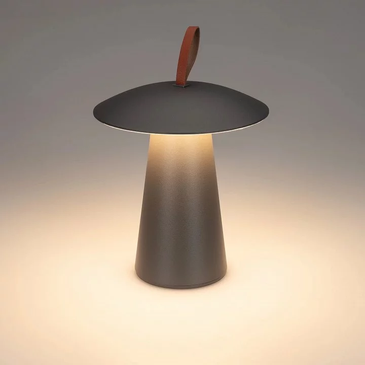 Настольная лампа декоративная Arlight SP-PATIO 043587 2_ARLT_043587.webp big