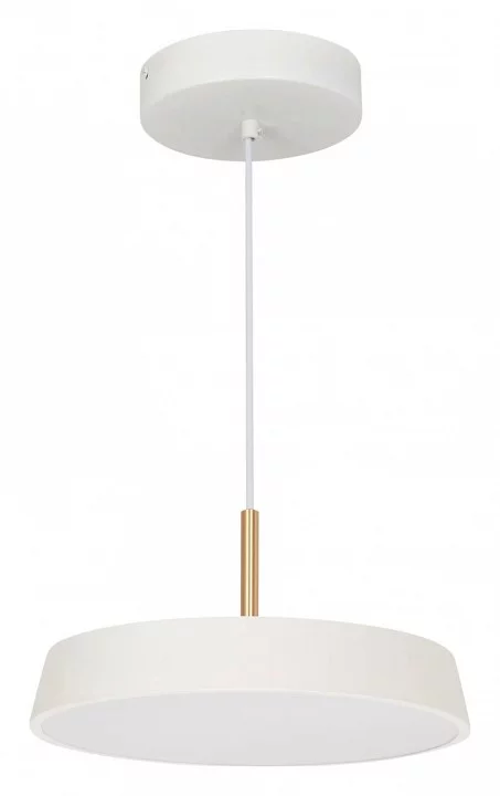Подвесной светильник Arlight ELEGANT 033914(1) 2_ARLT_033914_1.webp big
