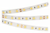 Лента светодиодная Arlight RT-B60 028589(3)
