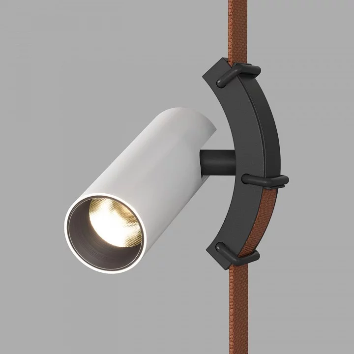 Светильник на штанге Denkirs BELTY SPOT DK5547-BW+BK 1_DK_DK5547-BW_BK.webp big
