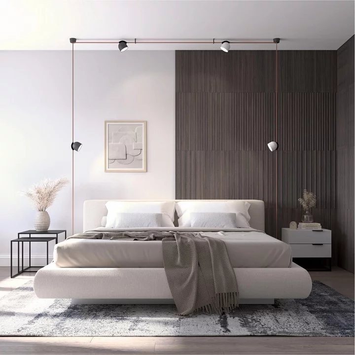 Накладной светильник Denkirs BELTY SPOT DK5543-BK 5_DK_DK5543-BK.webp big