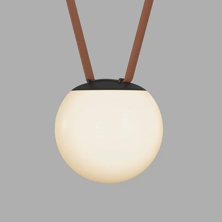 Накладной светильник Denkirs BELTY ORB DK5551-BK 1_DK_DK5551-BK.webp big