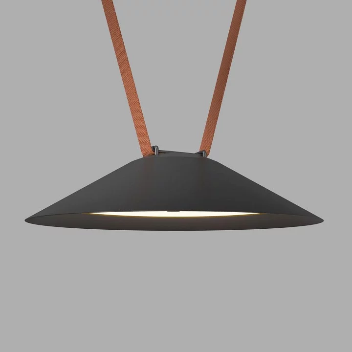 Накладной светильник Denkirs BELTY FLOW DK5565-BK 1_DK_DK5565-BK.webp big
