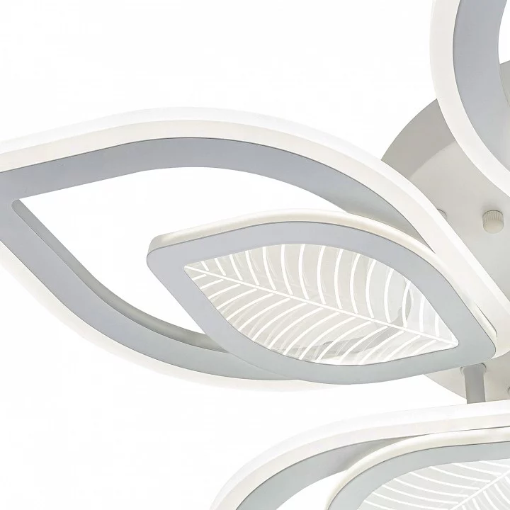 Потолочная люстра Escada Anise 10288/10LED 7_ESC_10288_10LED.webp big