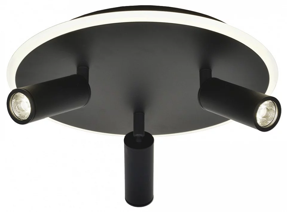 Светильник на штанге Escada 20046LED 20046SMA/03LED BK 1_ESC_20046SMA_03LED_BK.webp big