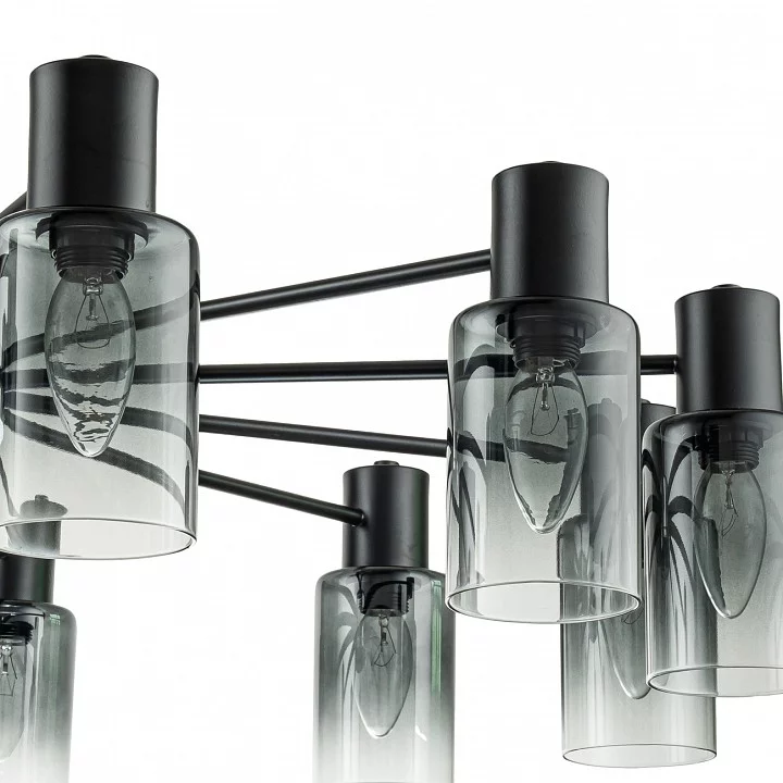 Люстра на штанге Escada Diversity 2120/12P Black 4_ESC_2120_12P_Black.webp big