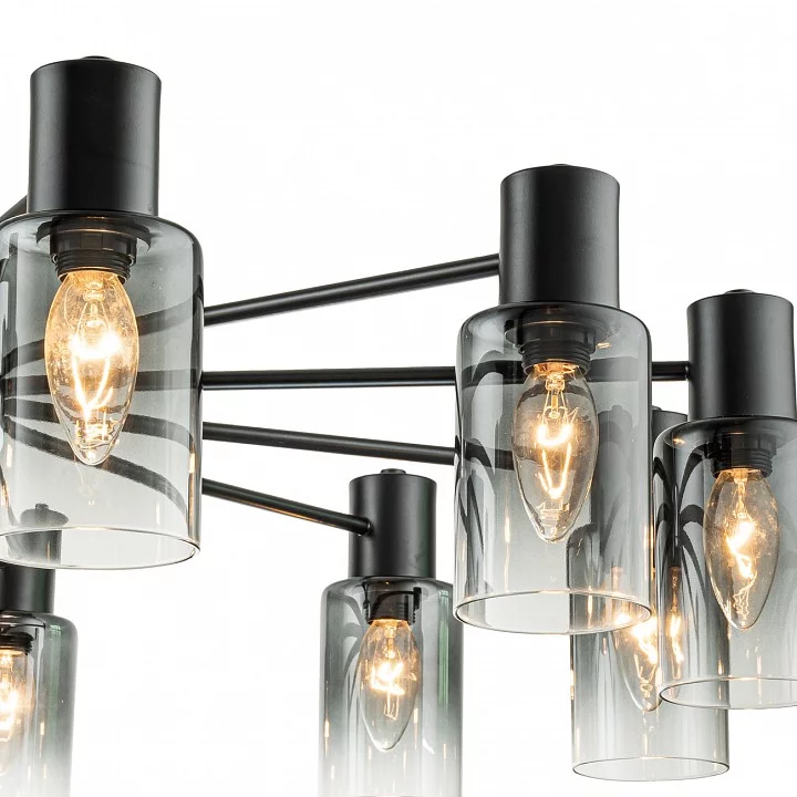 Люстра на штанге Escada Diversity 2120/12P Black 5_ESC_2120_12P_Black.webp big