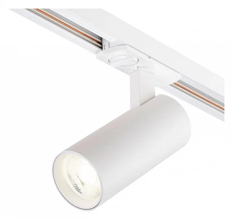 Светильник на штанге Escada 20002 20002TRA/02LED SWH 0_ESC_20002TRA_02LED_SWH.webp big