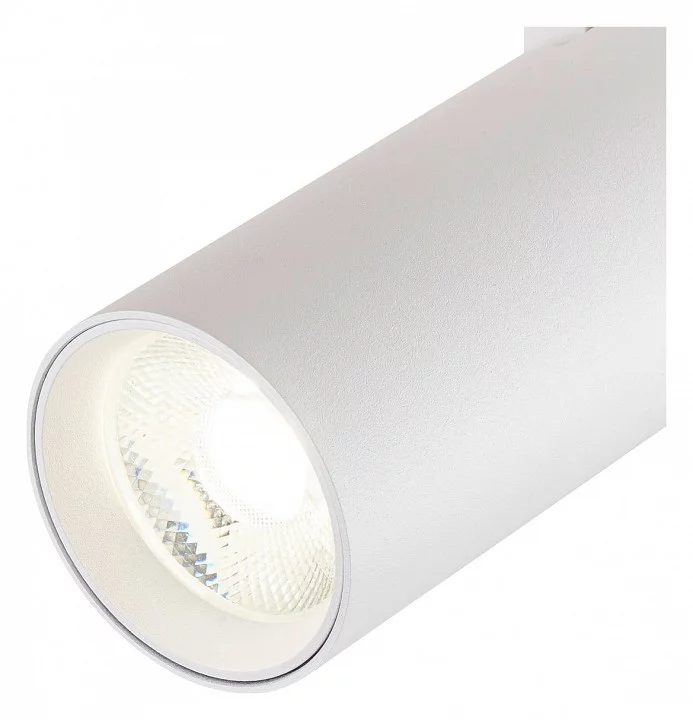 Светильник на штанге Escada 20002 20002TRA/02LED SWH 3_ESC_20002TRA_02LED_SWH.webp big