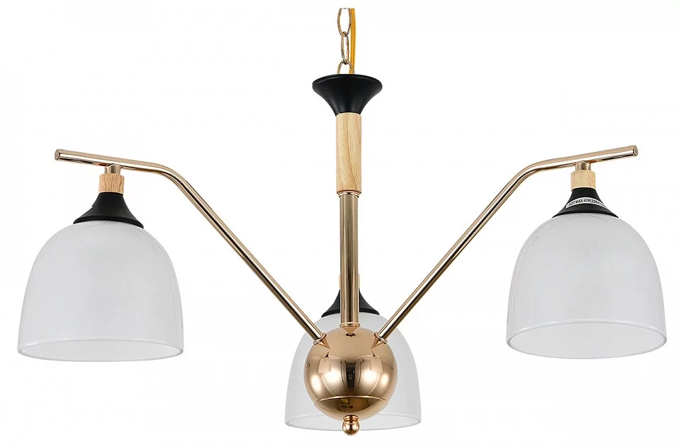 Подвесная люстра Escada Actinidia 2123/3P 0_ESC_2123_3P.webp big