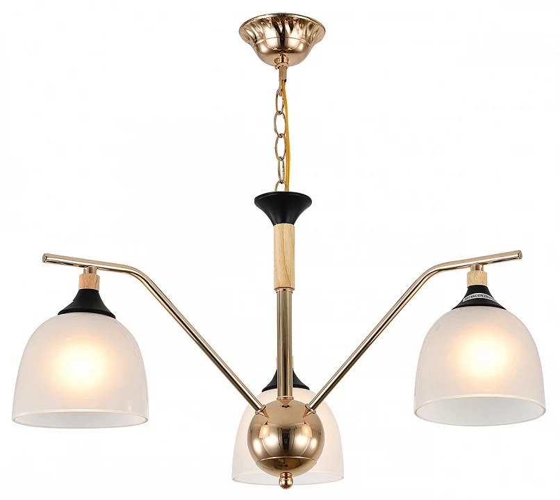 Подвесная люстра Escada Actinidia 2123/3P 1_ESC_2123_3P.webp big