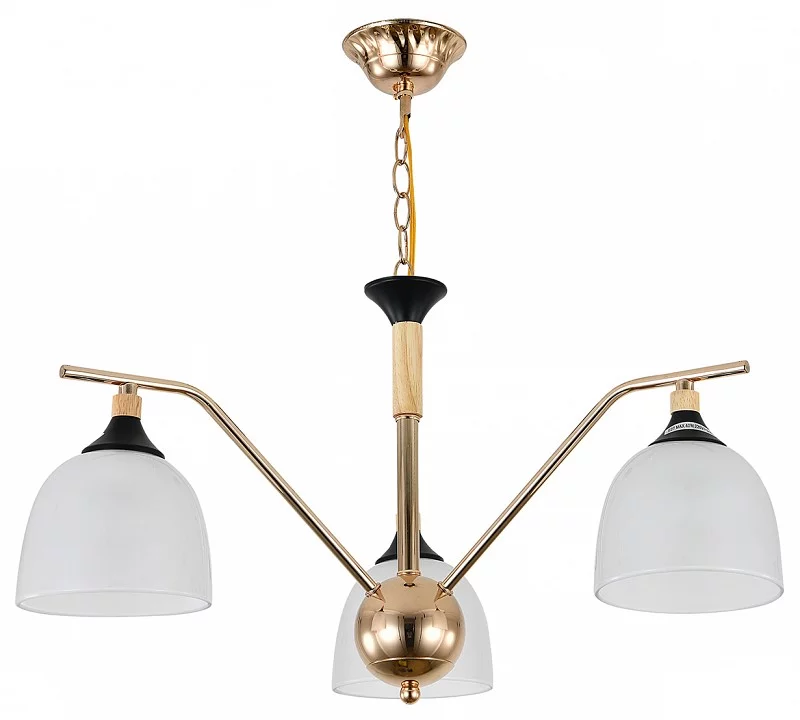 Подвесная люстра Escada Actinidia 2123/3P 2_ESC_2123_3P.webp big